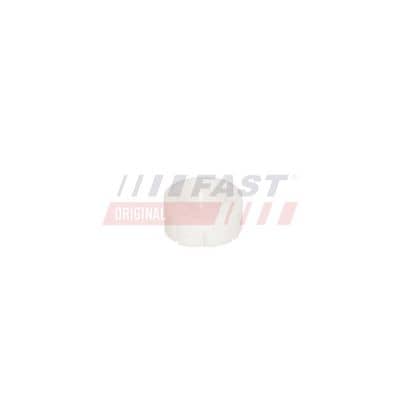 FAST FT04190