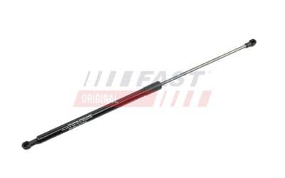 FAST FT00193