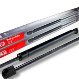 BLIC 6010-03-025401P Türgriff Vorne links für Ford Transit FA FB FD FM FN FS