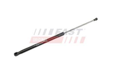 FAST FT00194