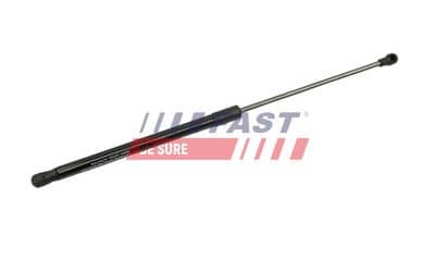 FAST FT00181