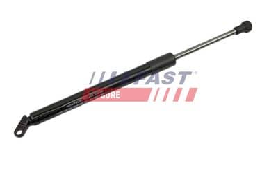 FAST FT00183